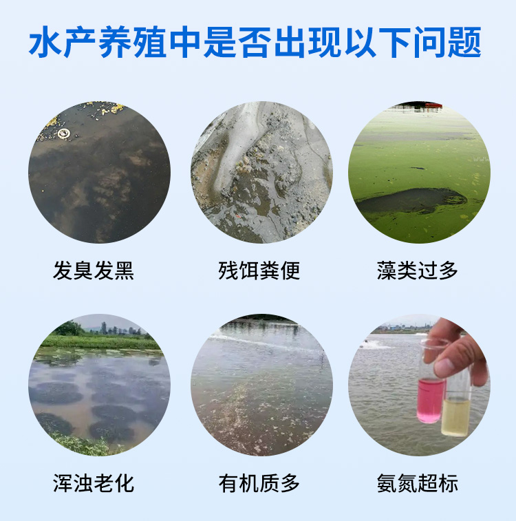 水产复合芽孢杆菌详情_02.jpg