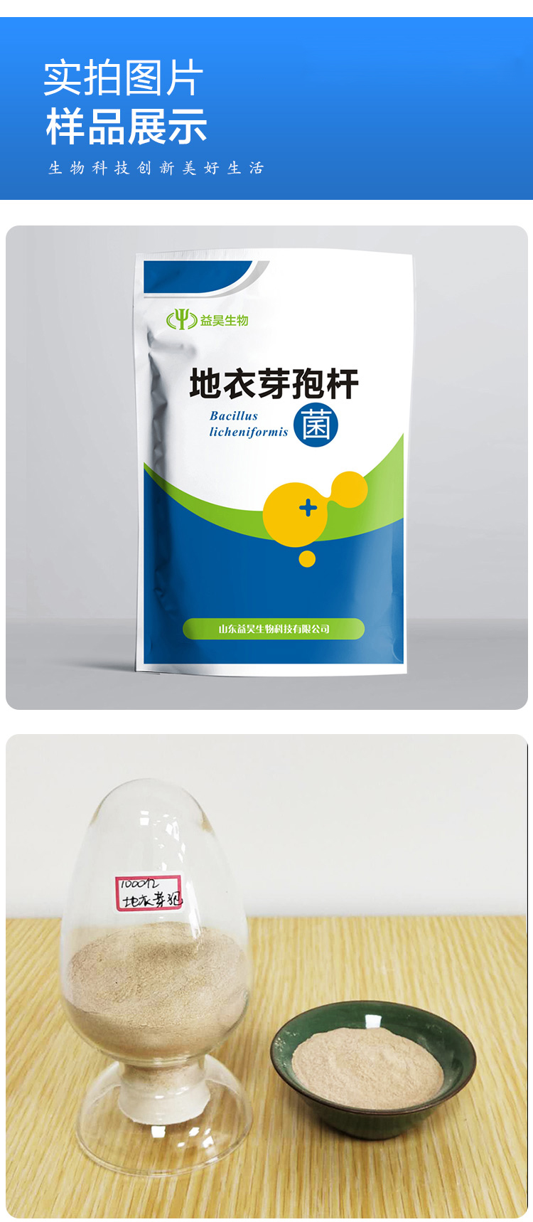 地衣芽孢杆菌